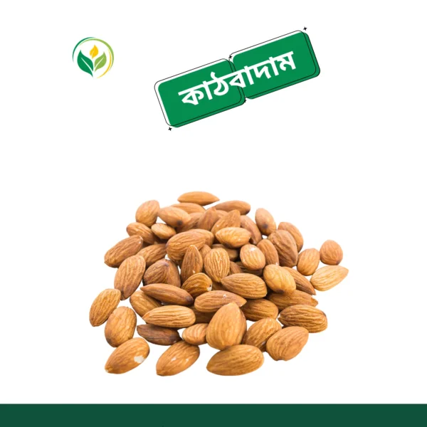 কাঠ বাদাম / Almond